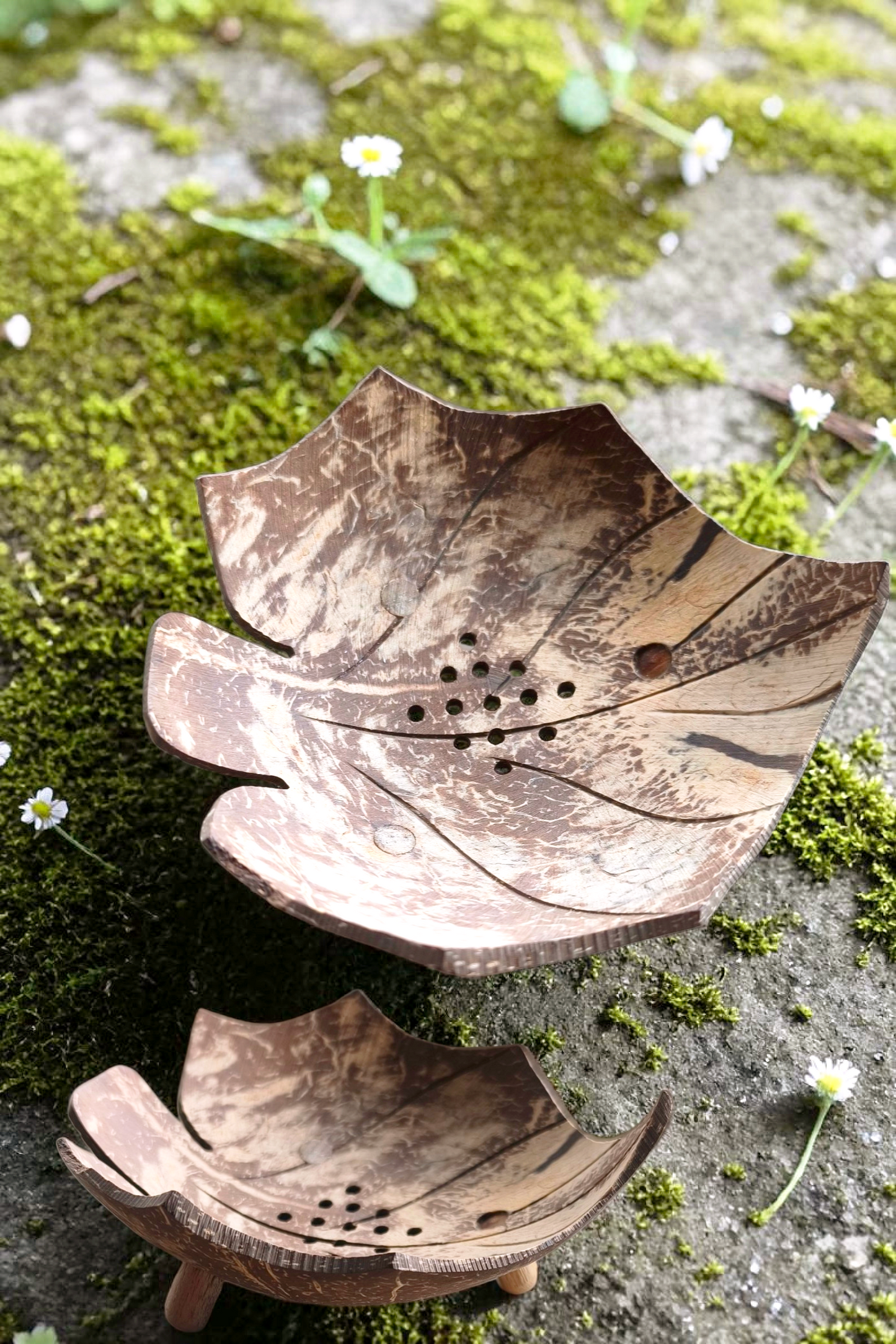 Natürliche Kokosnuss-Seifenschale – Ahornblatt