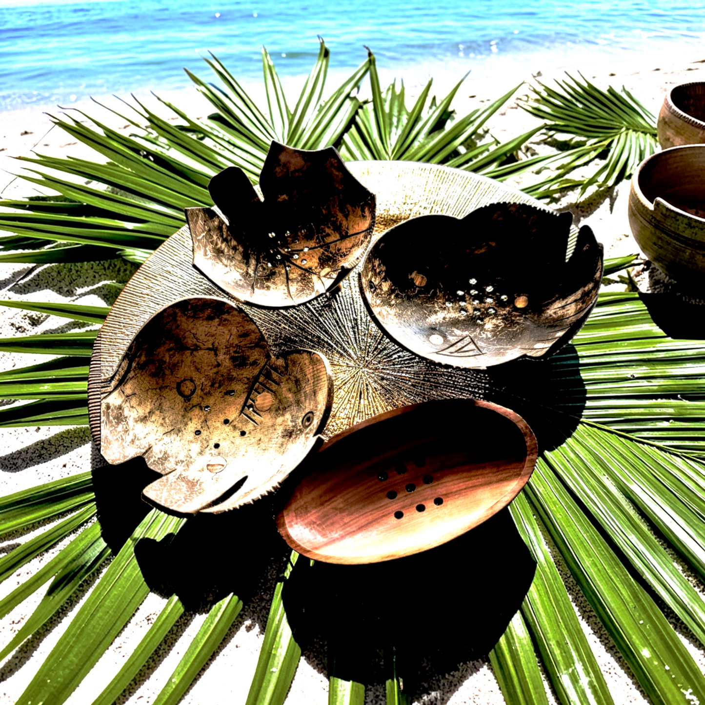 Natürliche Kokosnuss-Seifenschale – verschiedene Formen